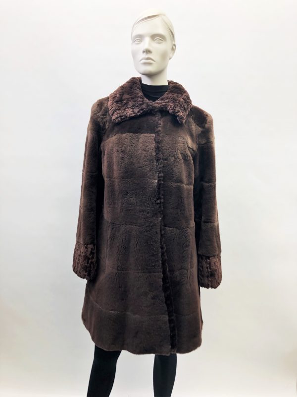 Samuel Fourrures - Manteau chat sauvage rasé brun et trim de castor - 8224 - Manteau