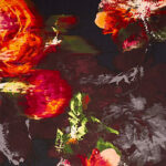 fraas silk scarf