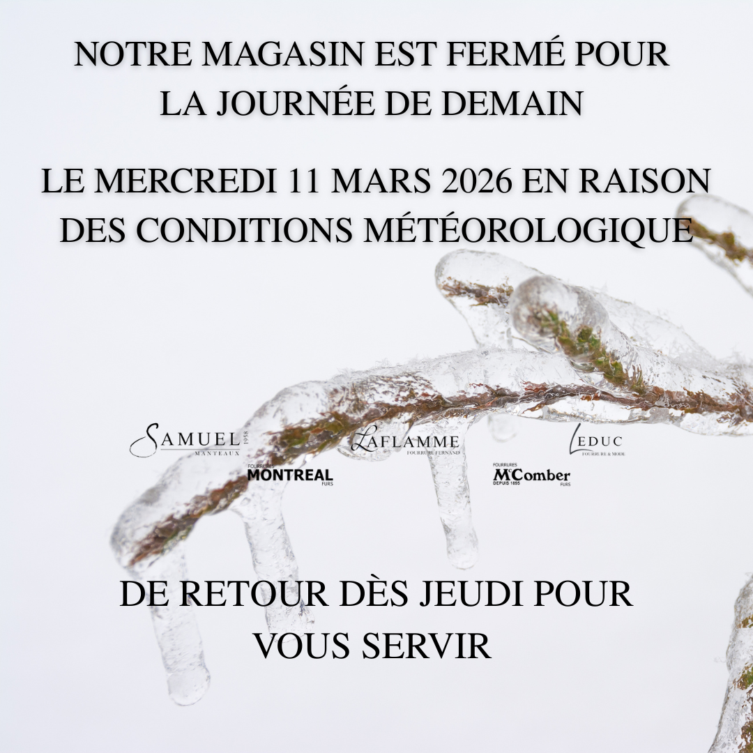 NOTRE MAGASIN EST FERME POUR LA JOURNEE EN RAISON DUNE PANNE ELECTRIQUE 1